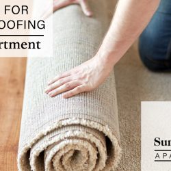 soundproofing your apartment