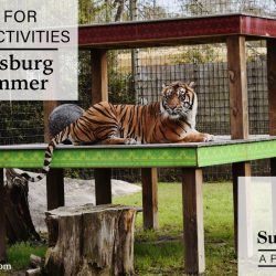 spots for outdoor activities in Hattiesburg