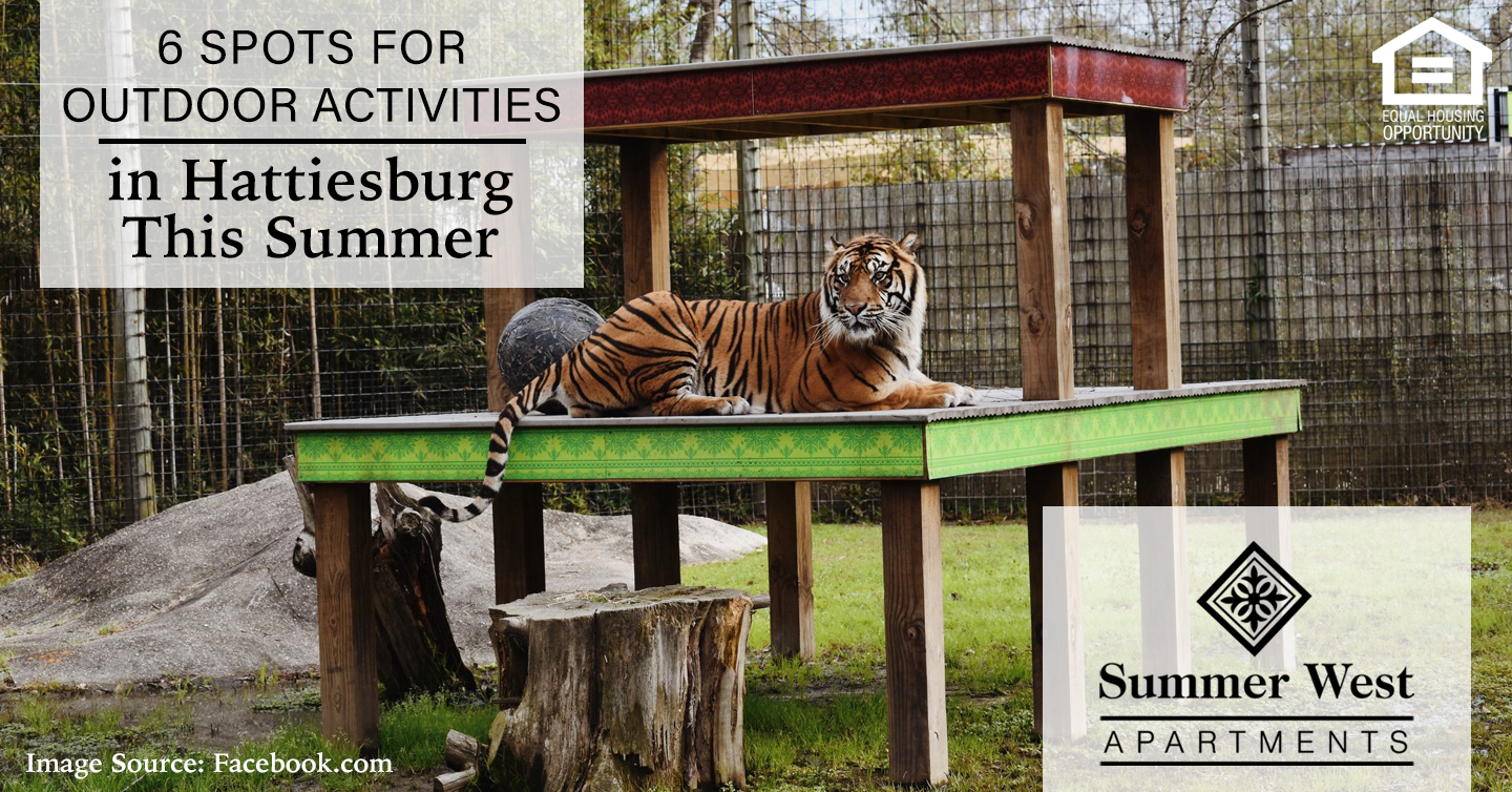 6 Spots for Outdoor Activities in Hattiesburg This Summer