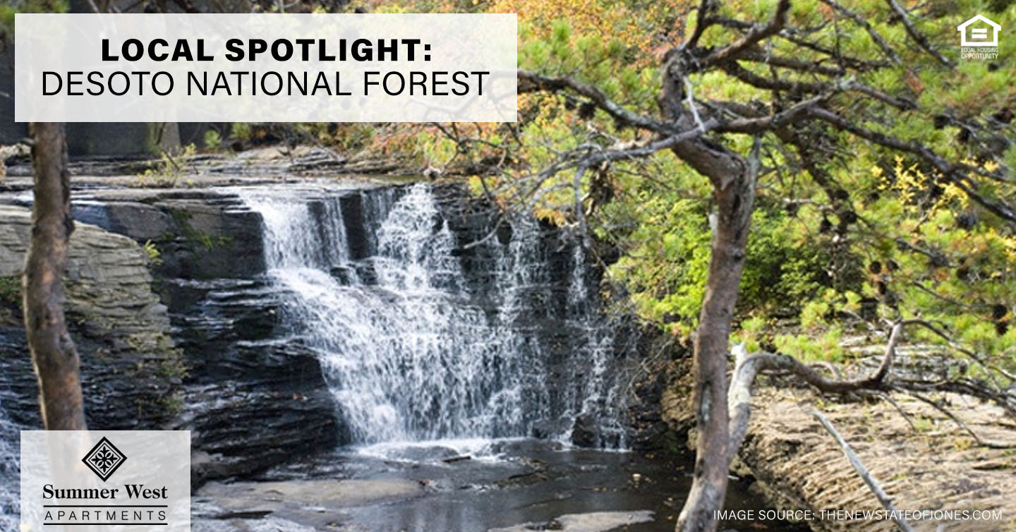 DeSoto National Forest