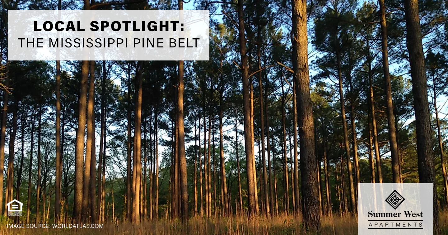 Local Spotlight: The Mississippi Pine Belt